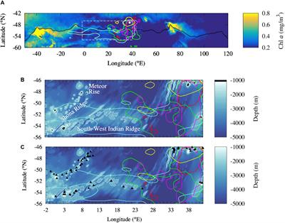 Interaction of the Antarctic Circumpolar Current With Seamounts Fuels Moderate Blooms but Vast Foraging Grounds for Multiple Marine Predators